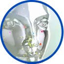 Flower pollen icon Illustrasjon som viser hvordan allergener tar seg inn i kroppen gjennom nesen