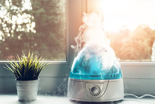 Um humidificador é um ótimo apoio para combater sintomas persistentes de constipação, ao limpar substâncias poluentes do nariz.