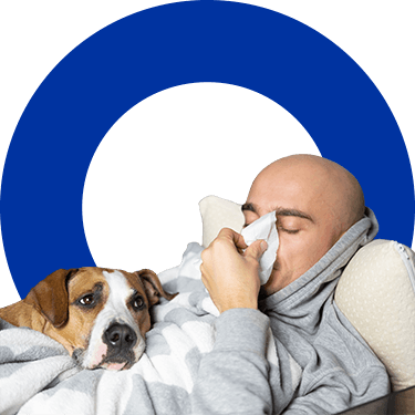 Homem, com cão ao lado, está a sofrer de sintomas de constipação, com o nariz entupido ou com pingo, e está a assoar-se a um lenço.