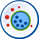 The blue icon with inscription 25 seconds