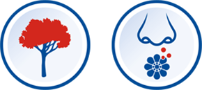 The blue icon with inscription 25 seconds