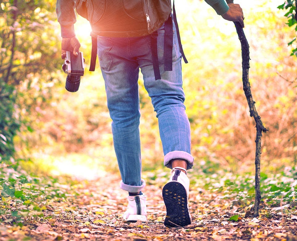 A person walking in nature A person walking in nature