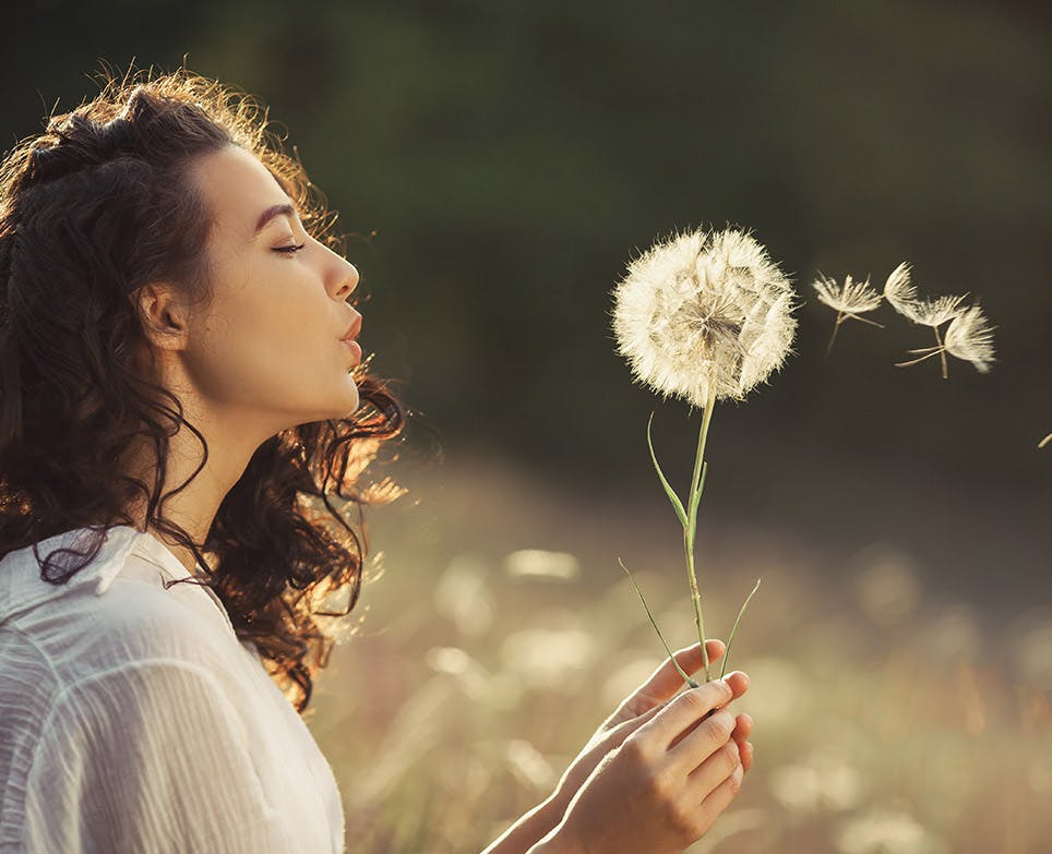 Mujer joven soplando un flor de dinete de león. 