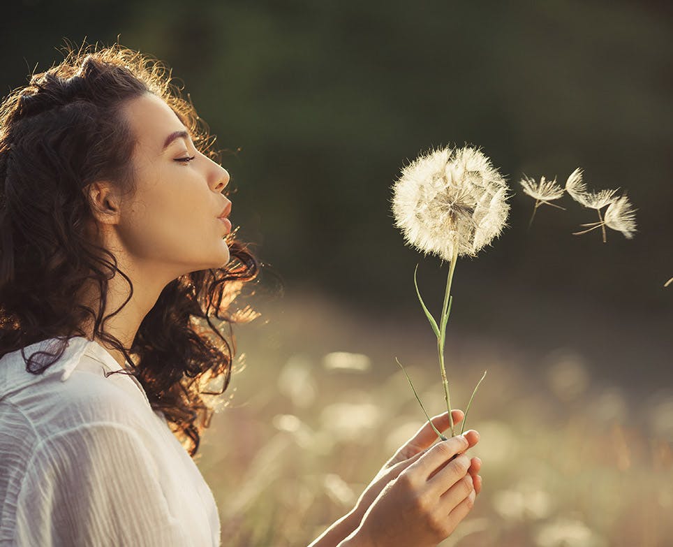 Mujer joven soplando una flor Diente de león. Mujer joven soplando una flor Diente de león.