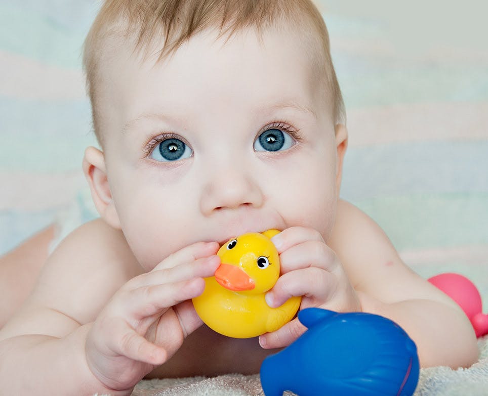 Bebé mordiendo un pato de juguete.