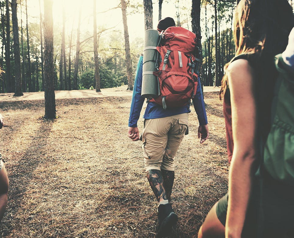 Zolben - Una pareja de mochileros caminan en un bosque