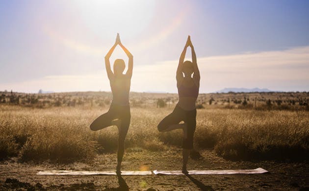 To kvinder dyrker yoga udenfor