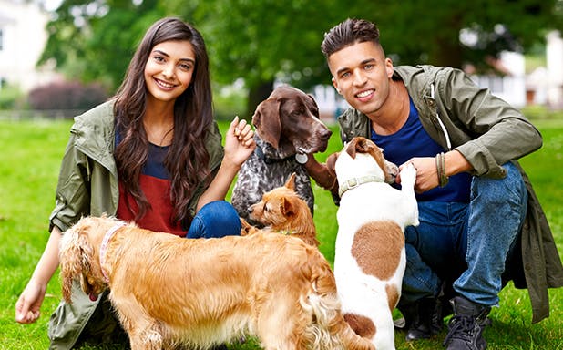 Benefits of Pets