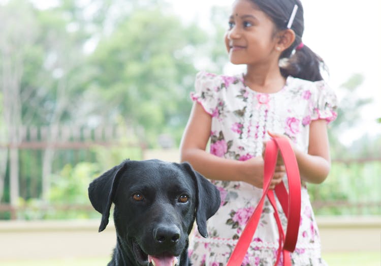 Positive Power of Pets Positive Power of Pets