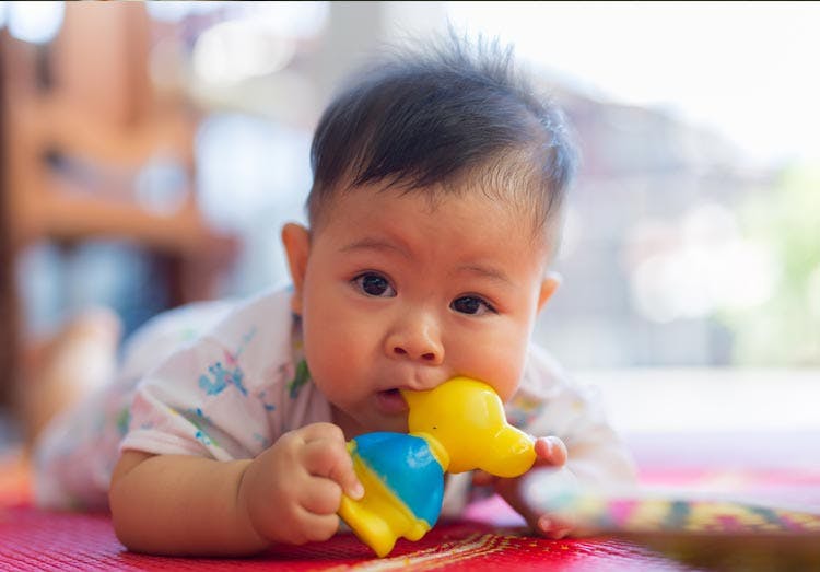 Things for teething babies to chew on sales