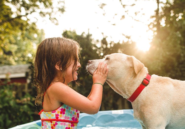 Una niña juega al aire libre con un perro.