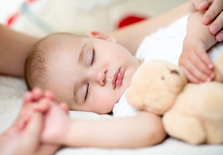 Sleeping Cute Baby Boy With Plush Toy