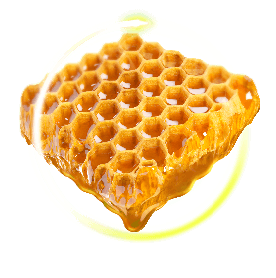 Φυσικά συστατικά PanNatural - μέλι
