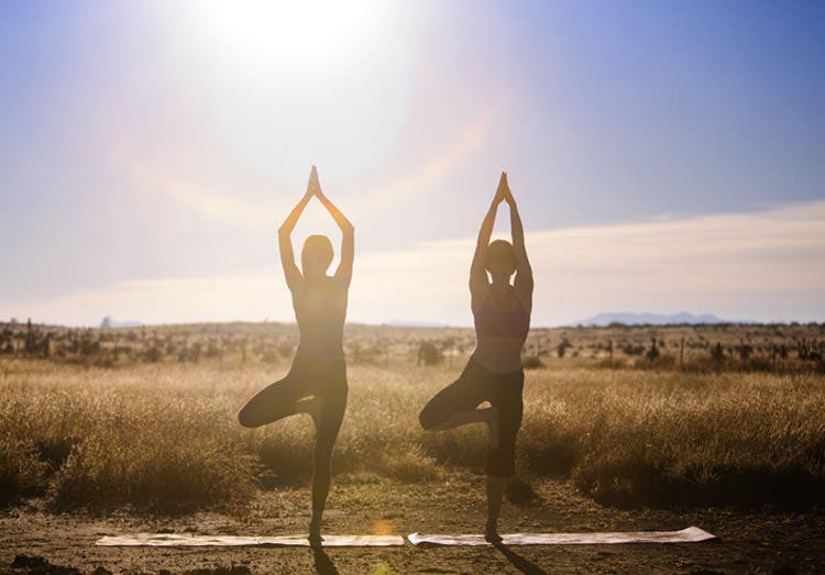 Two Women In Yoga Tree Poses In Field
