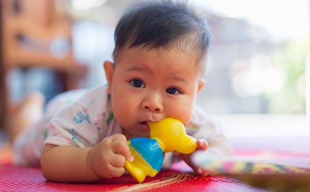 Baby chewing toy