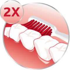 Zweimal täglich Zähneputzen Icon