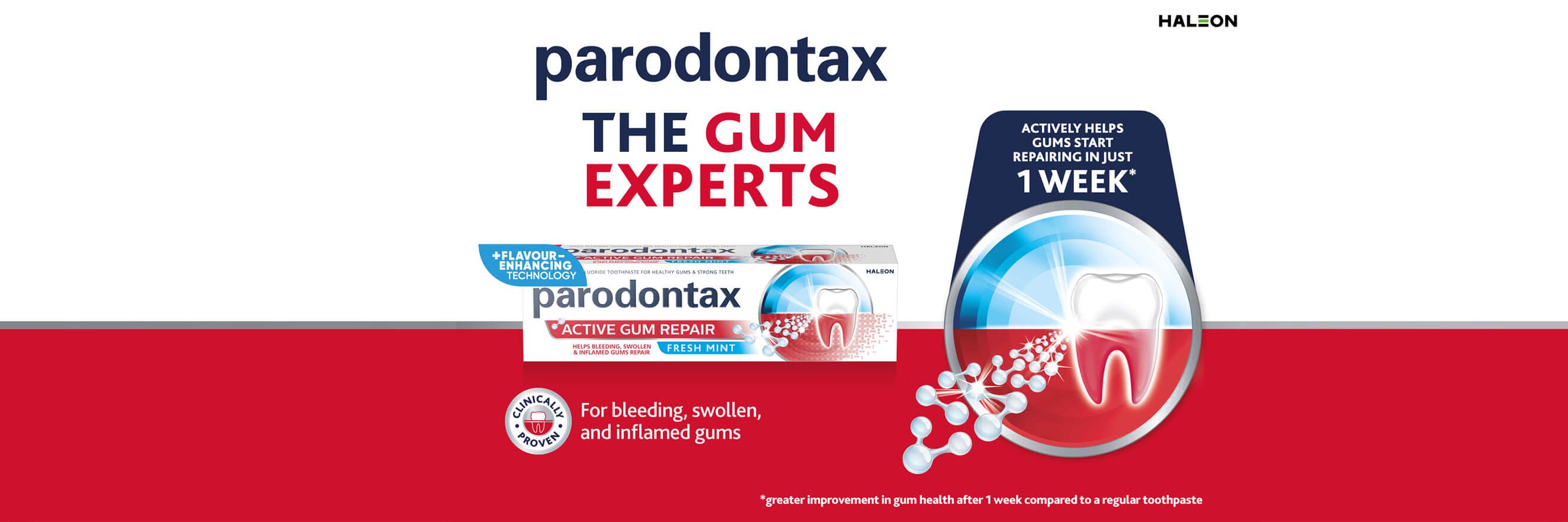 the gum experts