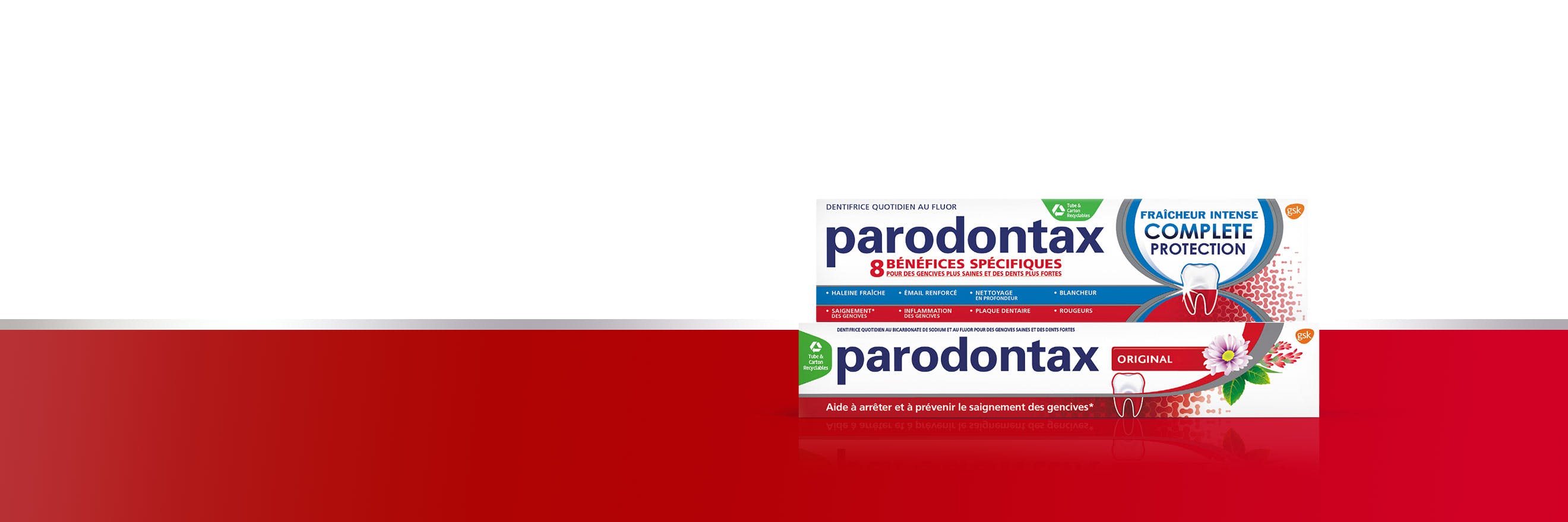 Dentifrice PARODONTAX AU FLUOR