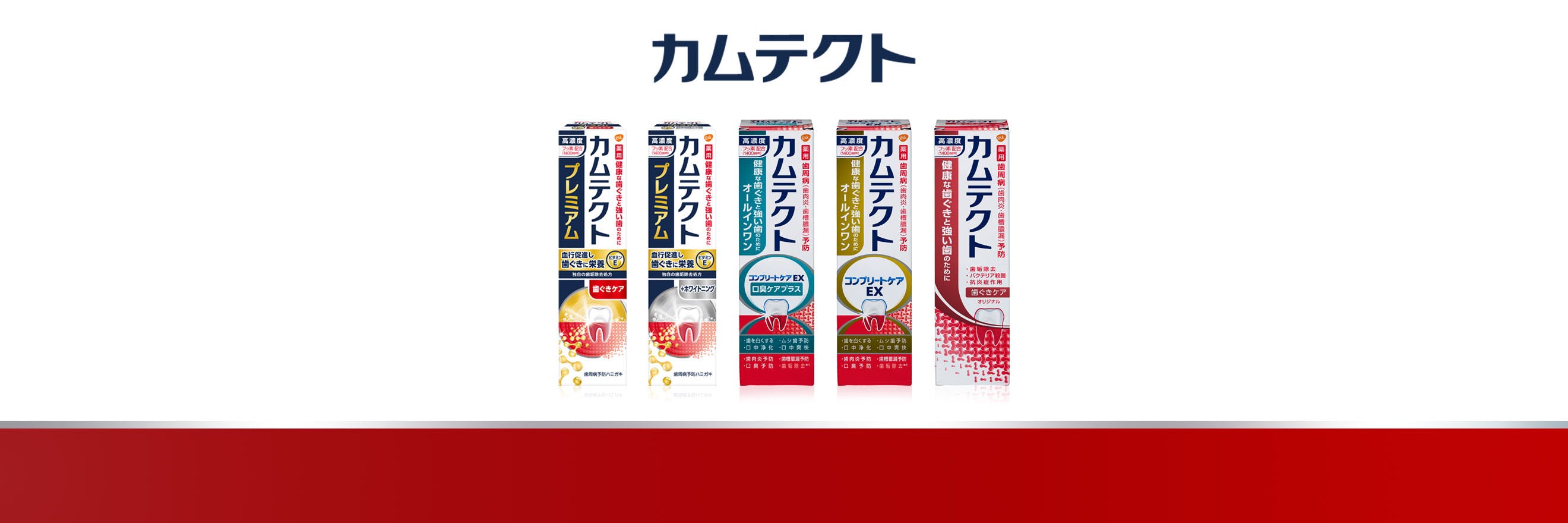 毎日の歯周病予防ハミガキ 薬用カムテクト