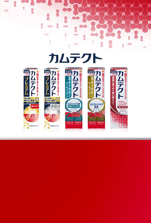 毎日の歯周病予防ハミガキ 薬用カムテクト