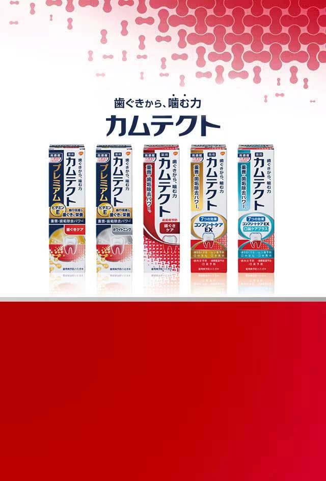 毎日の歯周病予防ハミガキ 薬用カムテクト