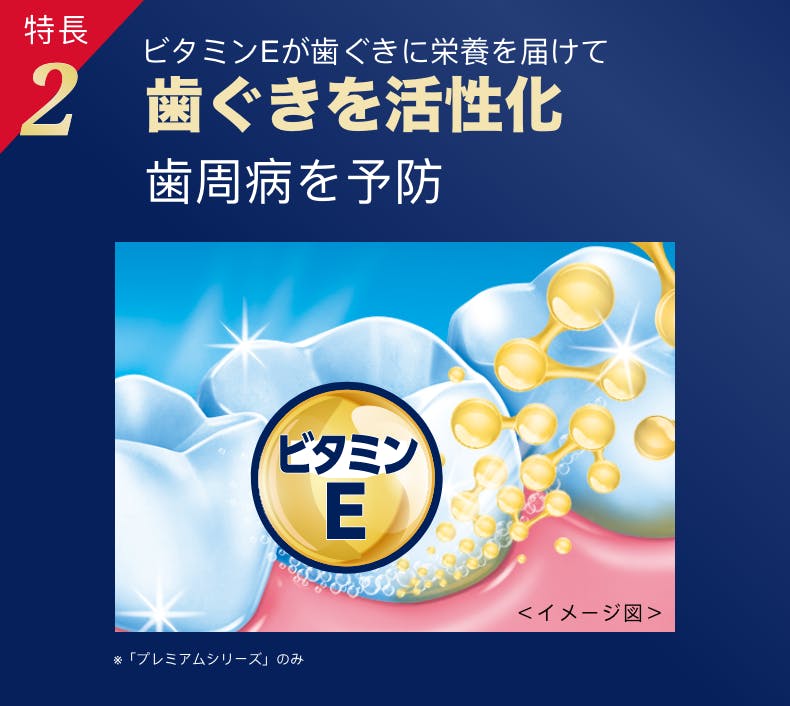 特長 2 ビタミンEが歯ぐきに栄養を届けて 歯ぐきを活性化 歯周病を予防 ※「プレミアムシリーズ」のみ