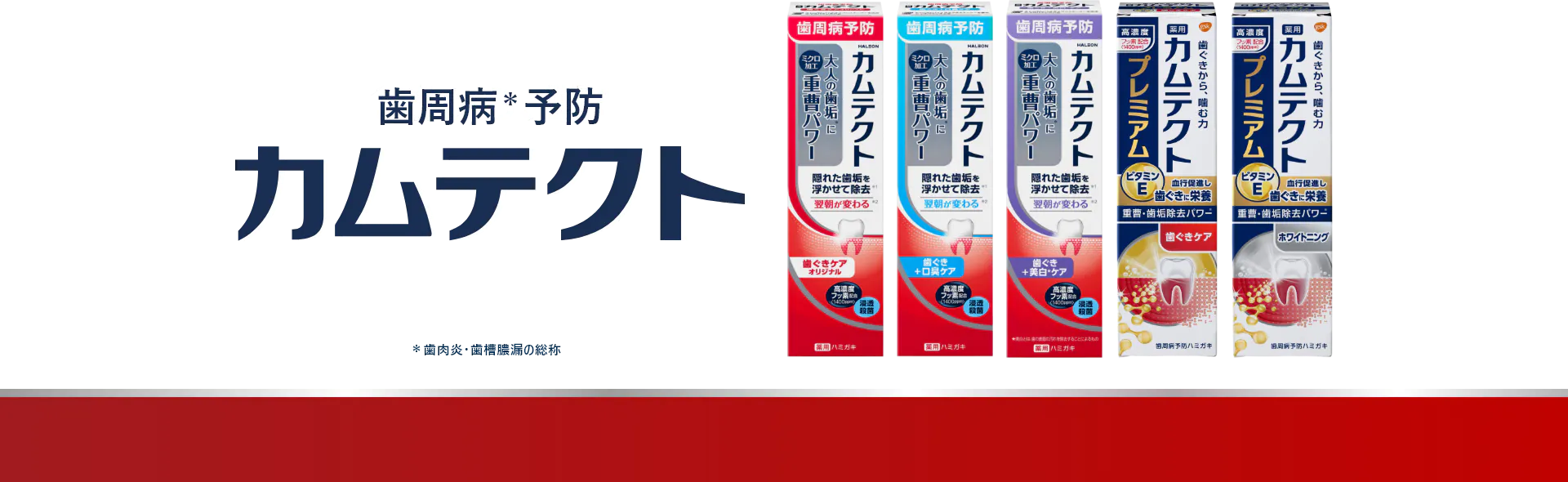 毎日の歯周病予防ハミガキ 薬用カムテクト