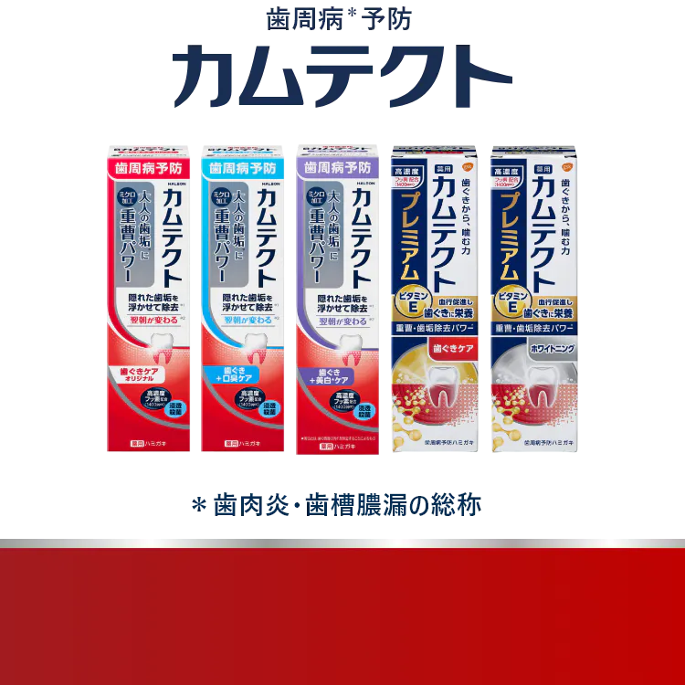 毎日の歯周病予防ハミガキ 薬用カムテクト