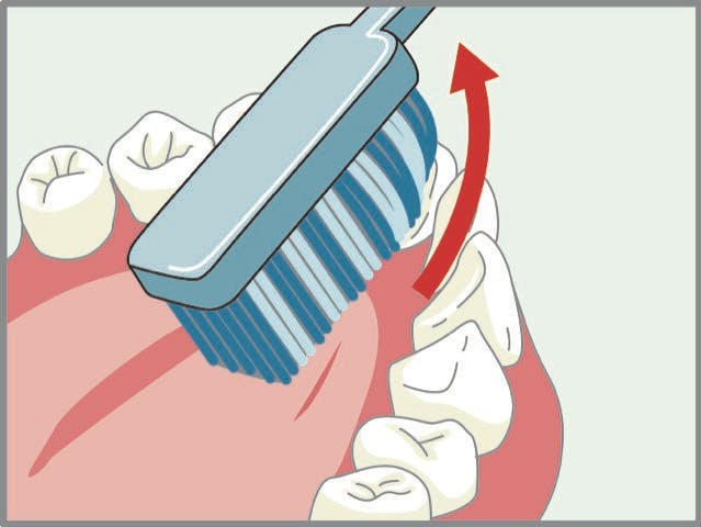 1本1本細かく歯を磨く