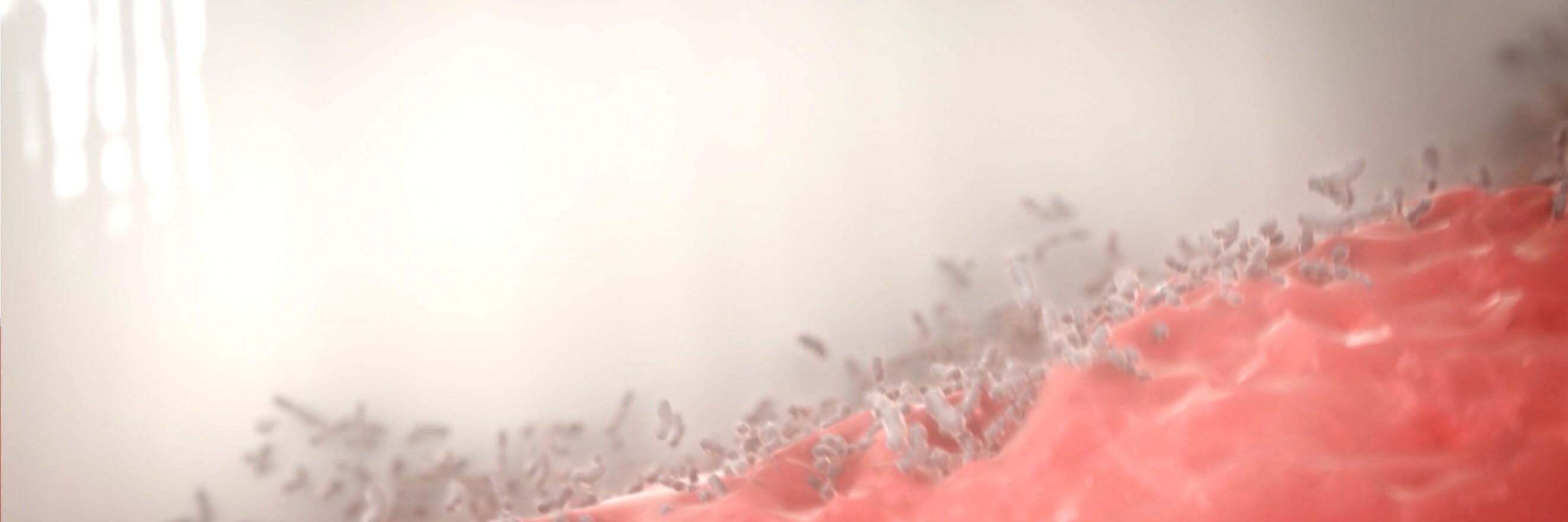 Απεικόνιση βακτηρίων στα ούλα, με την ταμπέλα "Αίτια"