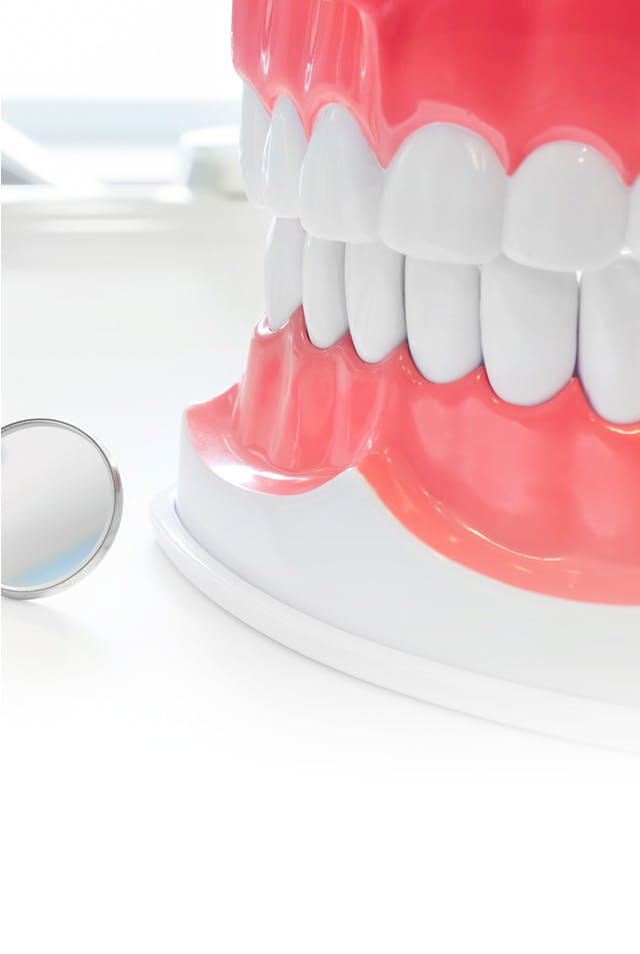About gum disease. False teeth with a dentists mirror next to them.