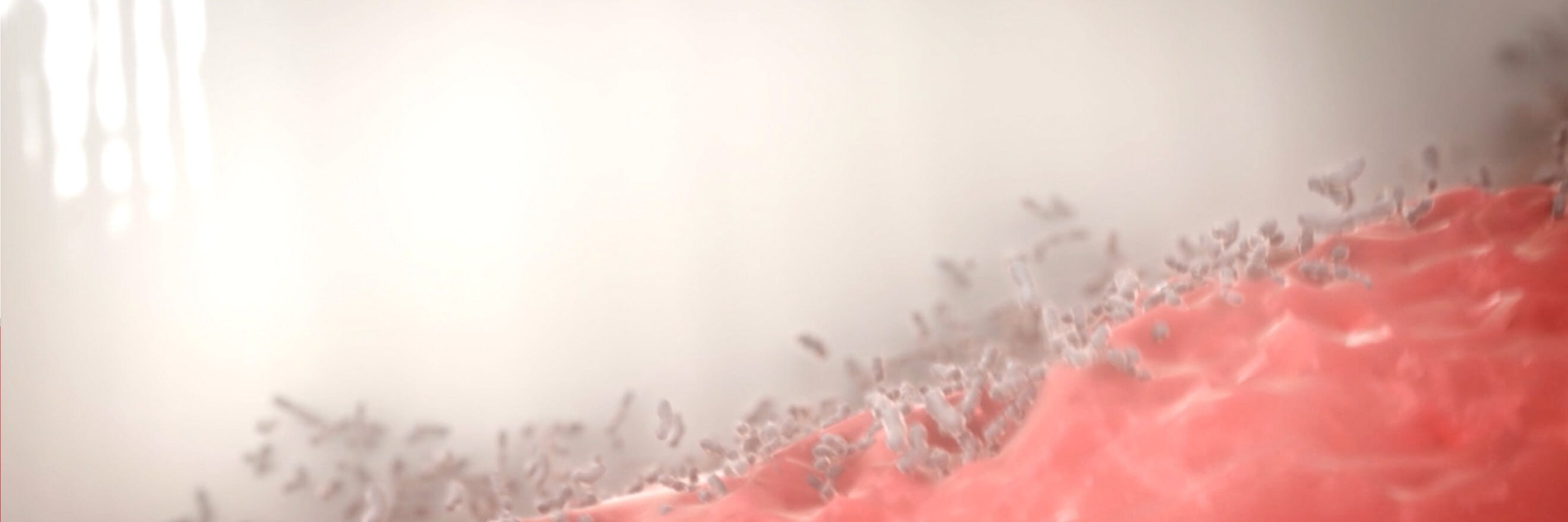 "Illustration of bacteria on the gums, with the label 'Causes'"