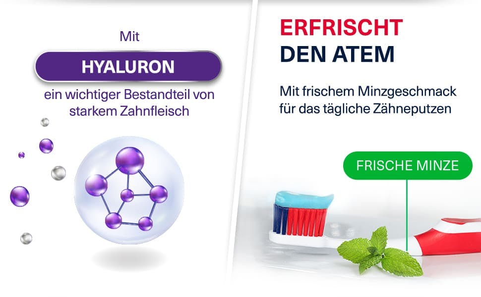 parodontax Zahnfleisch Stärkung & Schutz mit frischem Minzgeschmack enthält Hyaluron.​ 
