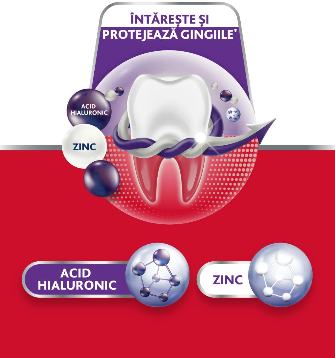 Imagine cu un dinte înconjurat de molecule de Acid Hialuronic și Zinc, pe care este evidențiat textul: Întărește și protejează gingiile 