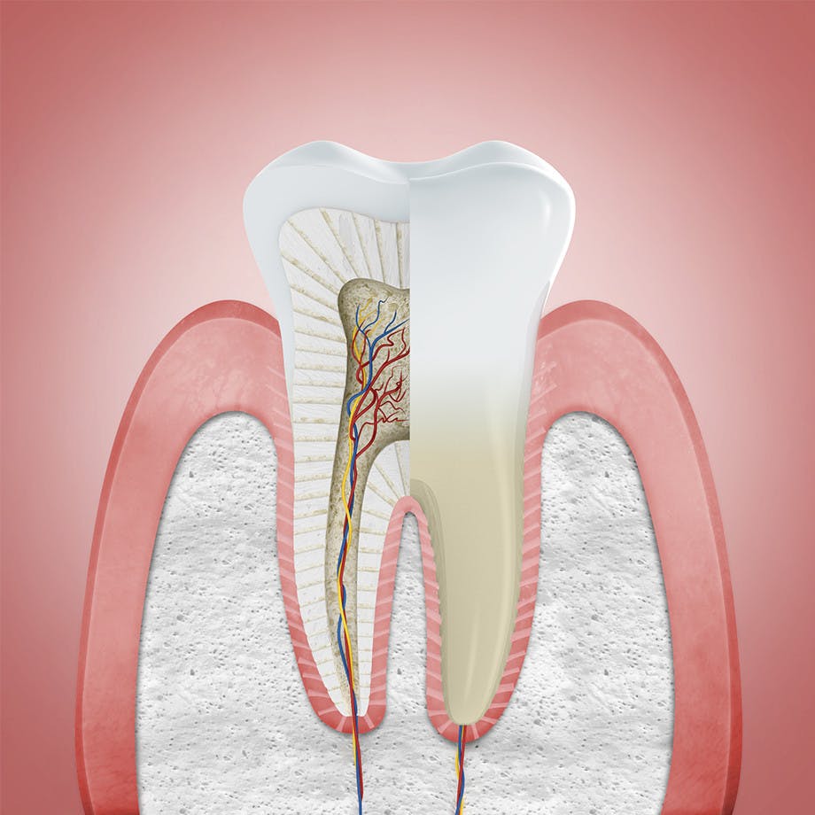 Cum sunt gingiile sănătoase?