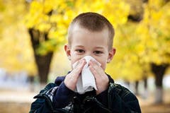 Child blowing his nose Child blowing his nose