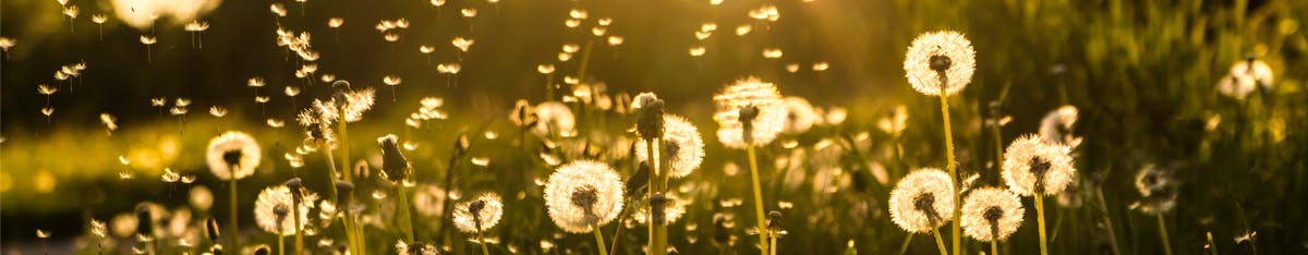 DT-childrens-allergies-symptoms DT-childrens-allergies-symptoms