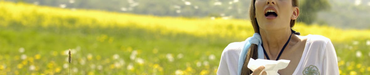 Woman Sneezing, hay fever Woman Sneezing, hay fever