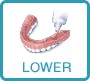 lower-portion lower-portion