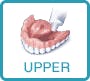 upper-portion