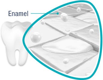 Illustration of the Protective Tooth Enamel Illustration of the Protective Tooth Enamel