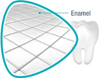 Illustration of Tooth Enamel