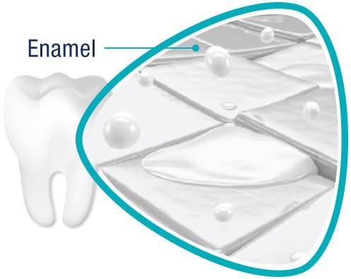Illustration of the Protective Tooth Enamel Illustration of the Protective Tooth Enamel