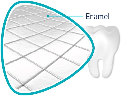 Illustration of Tooth Enamel Illustration of Tooth Enamel