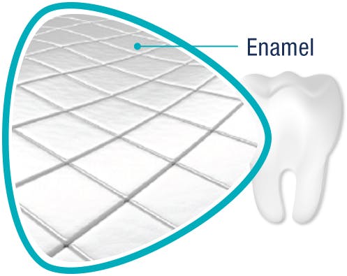 Illustration of Tooth Enamel