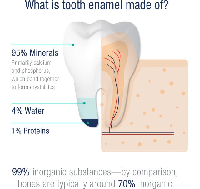 The composition of tooth enamel is 95% minerals, 4% Water, 1% Proteins 