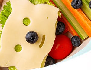 Healthy snacks in a kid’s lunchbox
