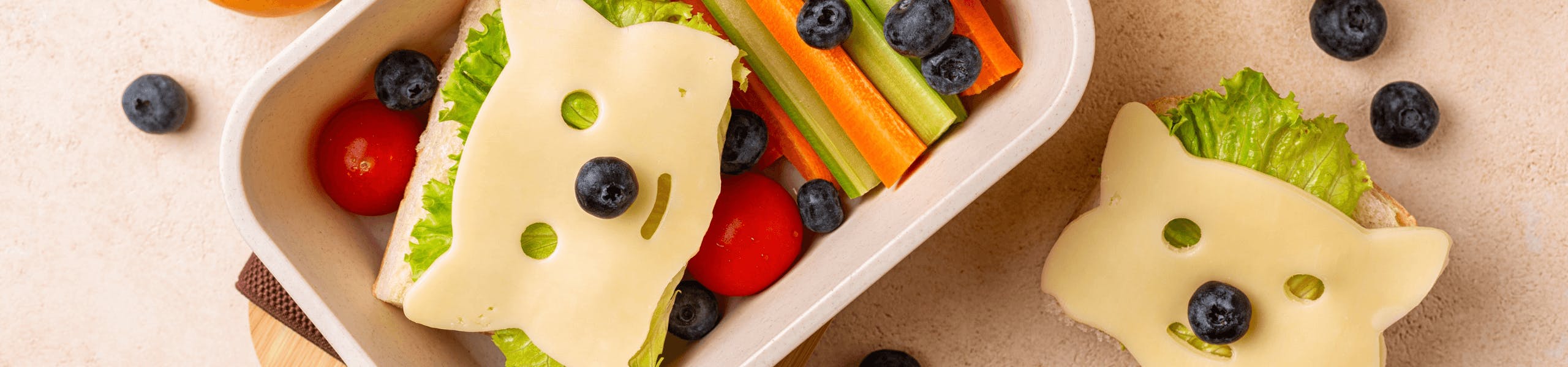 Healthy snacks in a kid’s lunchbox