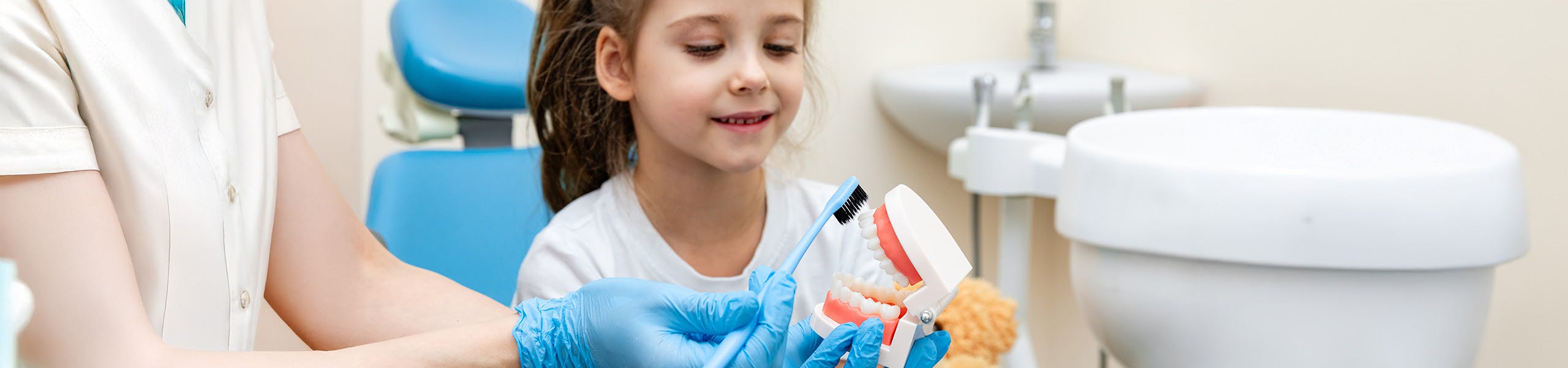 Dentist shows little girl how to brush her teeth using a model