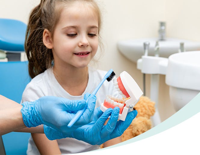 Dentist shows little girl how to brush her teeth using a model 